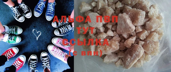 индика Аркадак