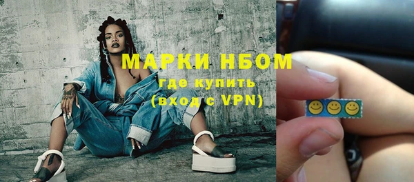 индика Аркадак