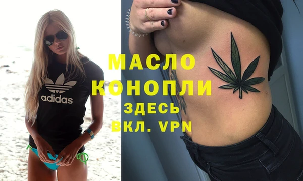 индика Аркадак